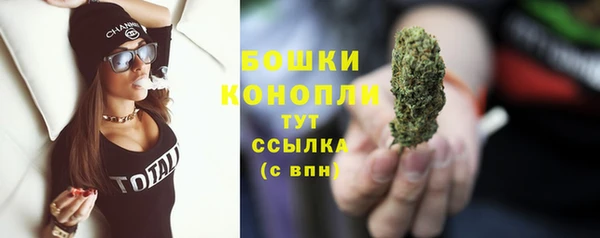 шишки Абинск
