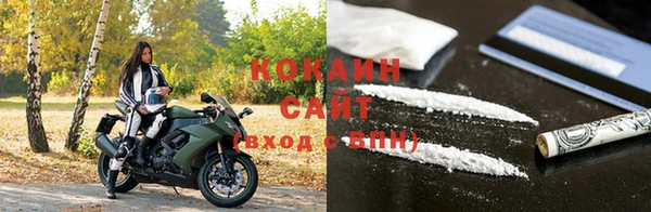 шишки Абинск
