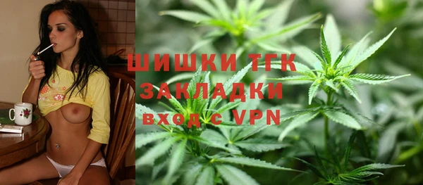 шишки Абинск